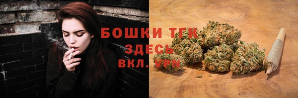 первитин Богданович