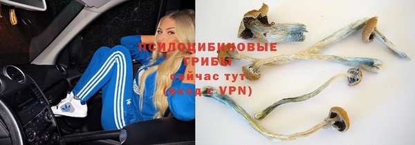 MDMA Premium VHQ Богородицк