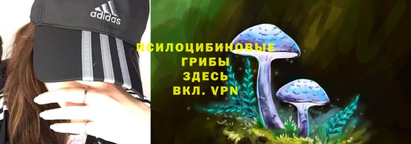 первитин Богданович