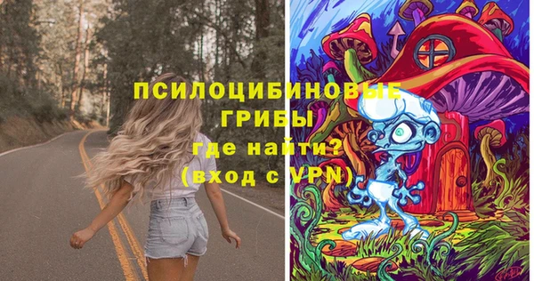 соль курить ск Богородск