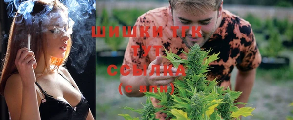 первитин Богданович