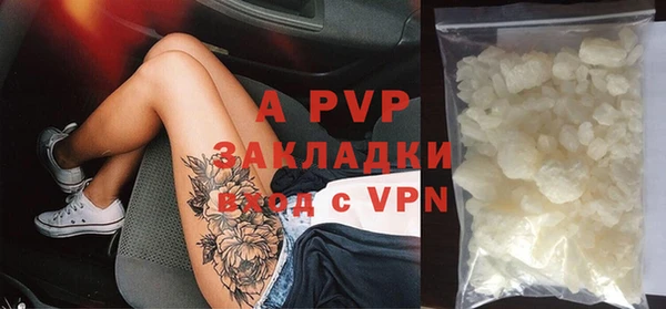 первитин Богданович