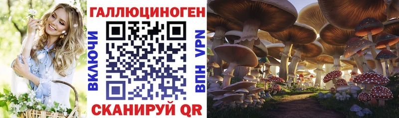 Галлюциногенные грибы Psilocybe  купить наркотики цена  Ильский 